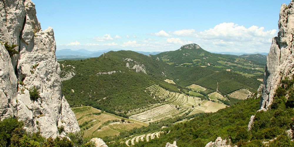 Week-end enivrant dans les Dentelles de Montmirail